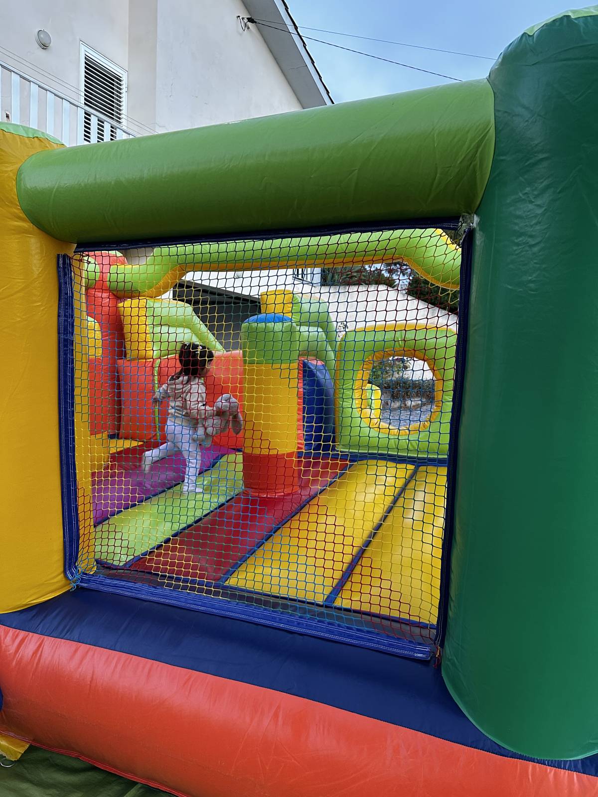 Voilà Party Design - Penacova - Funcionários e Auxiliares