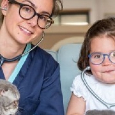 Veterinários Sobre Rodas - Cascais - Adiestramiento de perros - Clases privadas