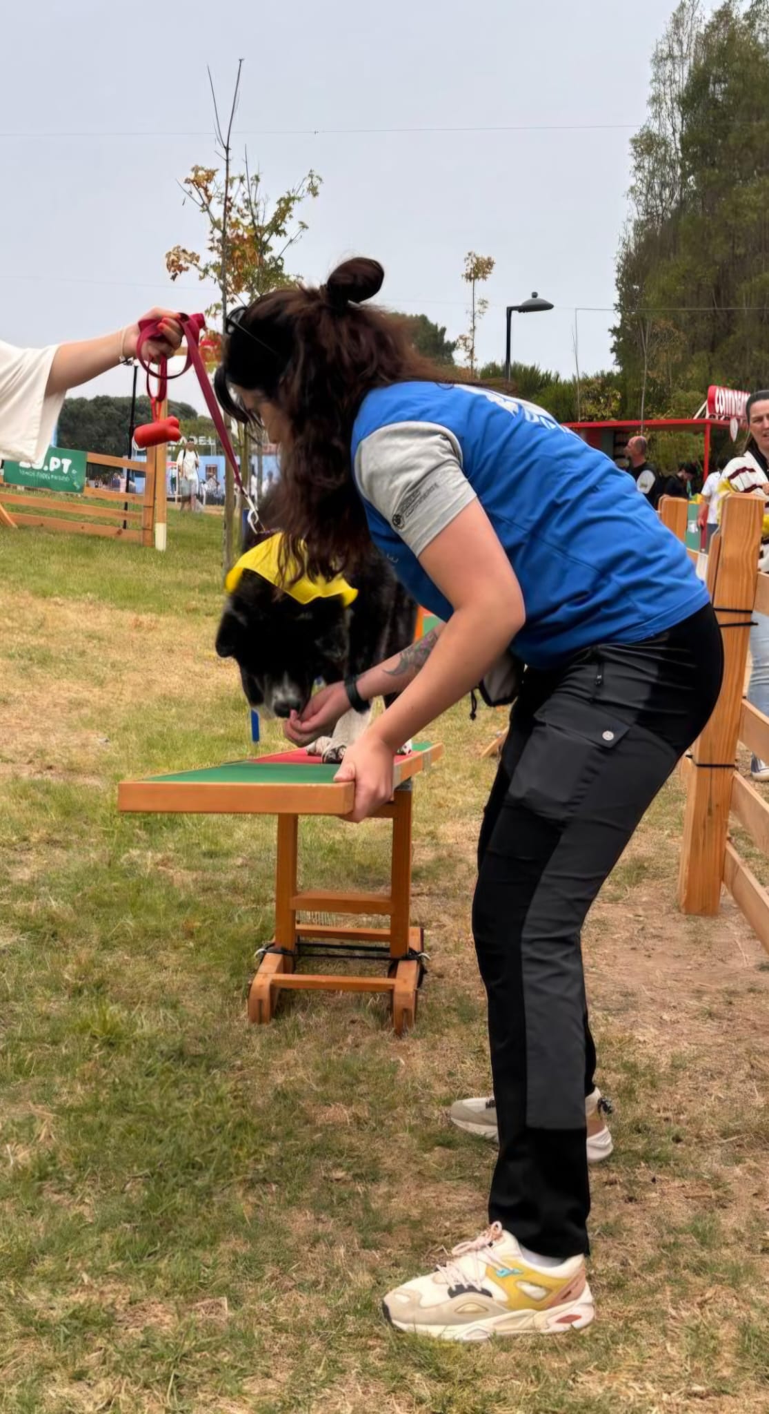 BPC | Treino canino, pet sitting e dog walker - Barcelos - Garde de chat
