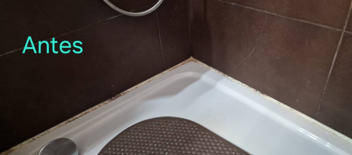 Carlos Eduardo - Vila Franca de Xira - Hardwood Floor Refinishing