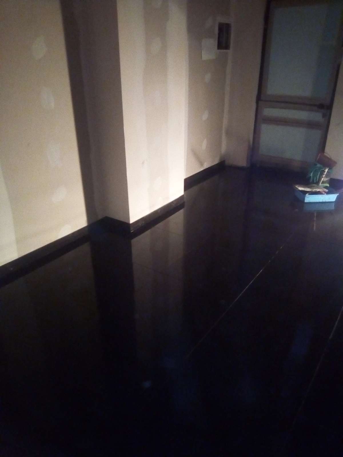 Moisés Lopes - Porto - Hardwood Floor Repair or Partial Replacement