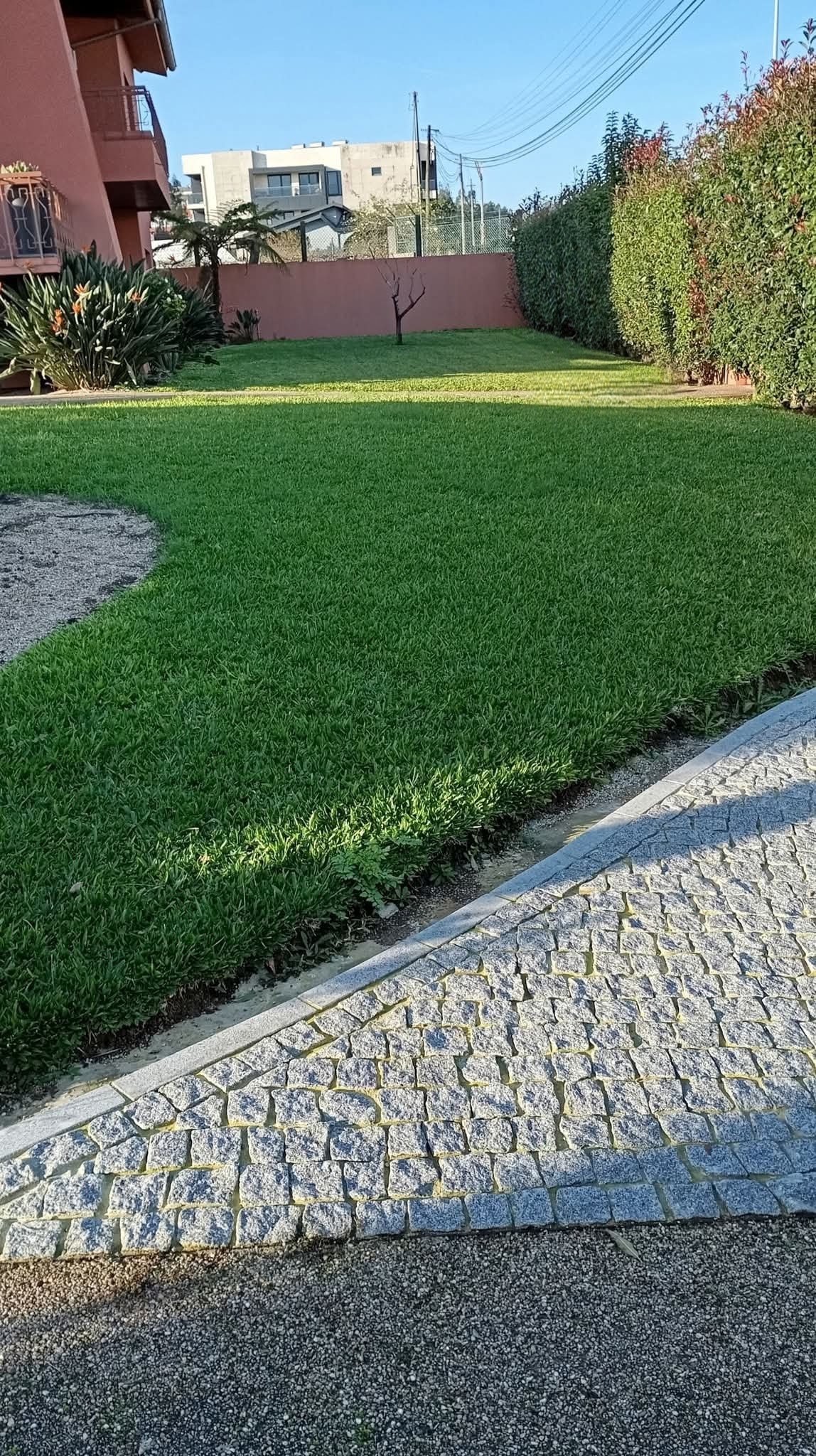Rui Pereira - Maia - Tree Trimming and Maintenance