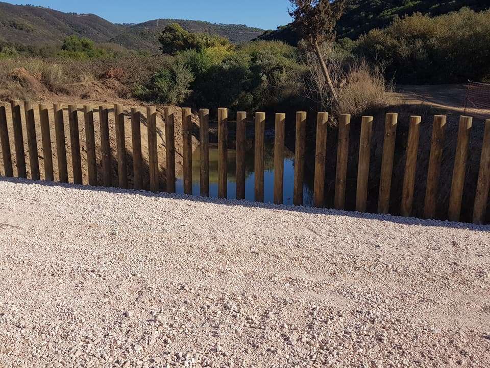 Perpendicular Genuína - Coimbra - Tree Planting