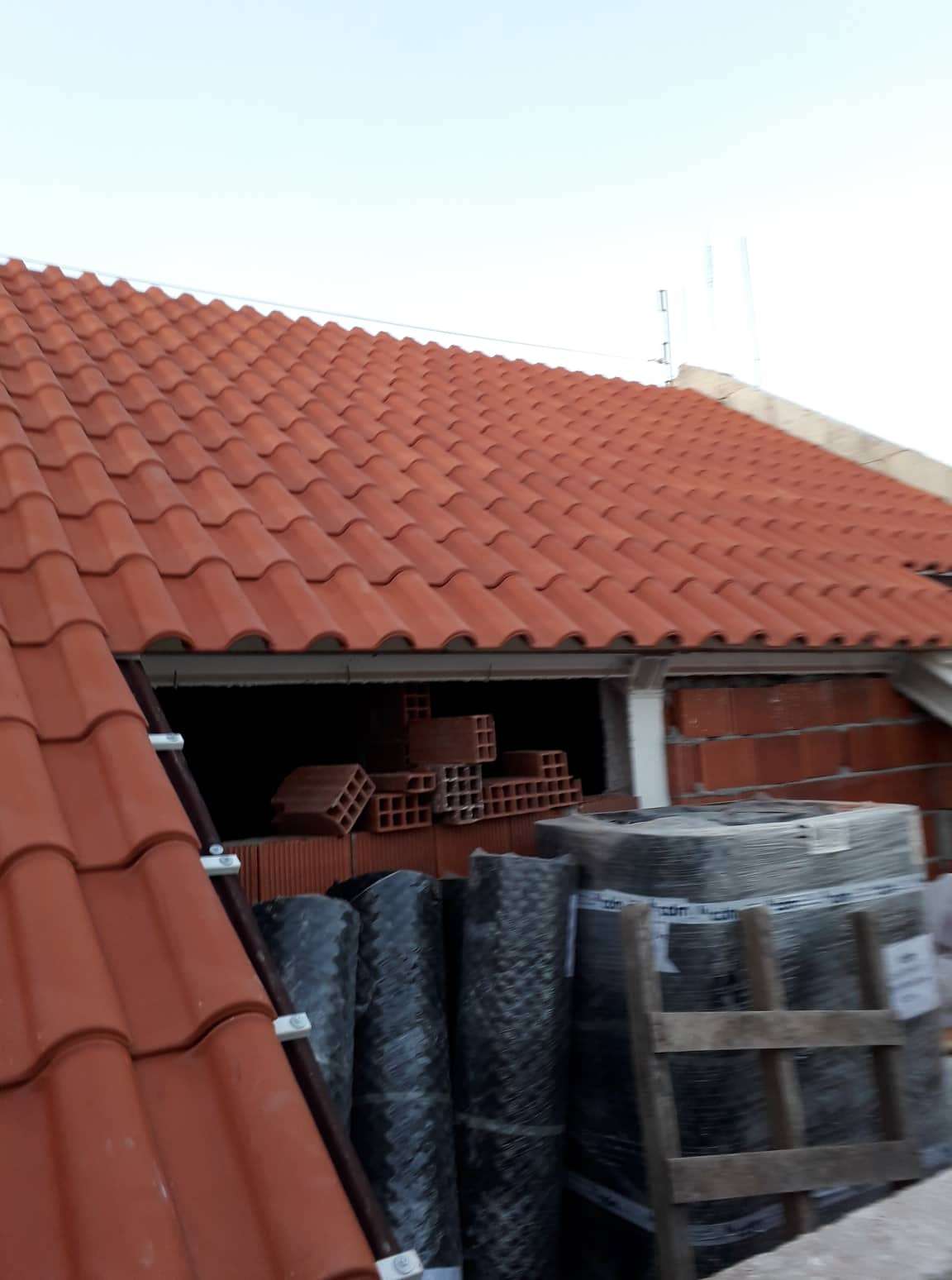 Perpendicular Genuína - Coimbra - Shrub Removal