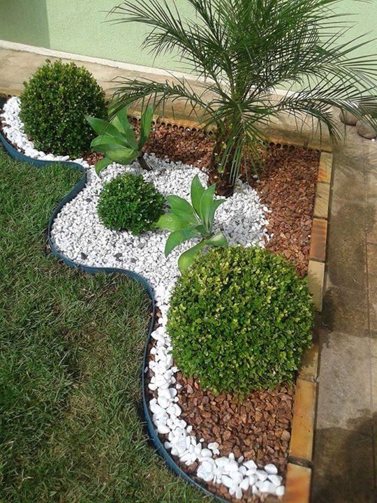 Rui - Maia - Tree Trimming and Maintenance