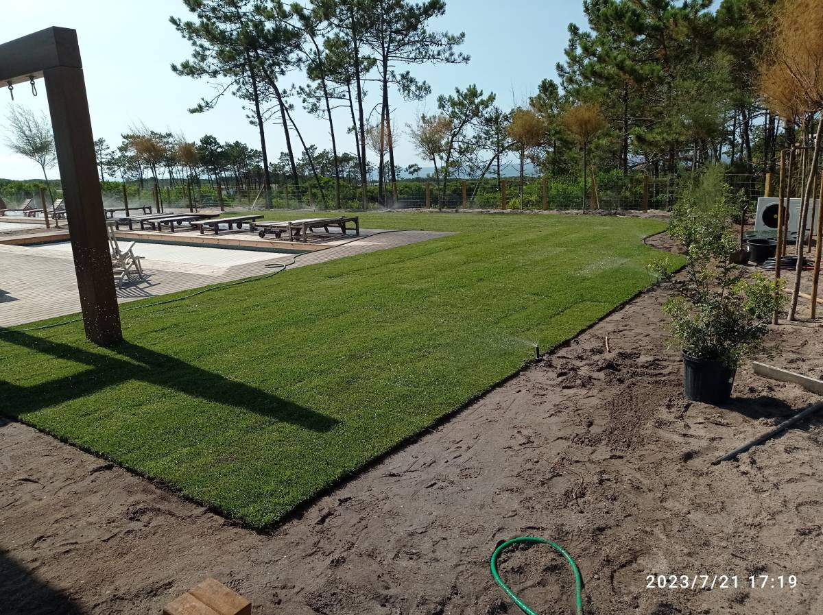RF remodelação e construção de casas e jardins - Torres Vedras - Remoção de Tronco de Árvore