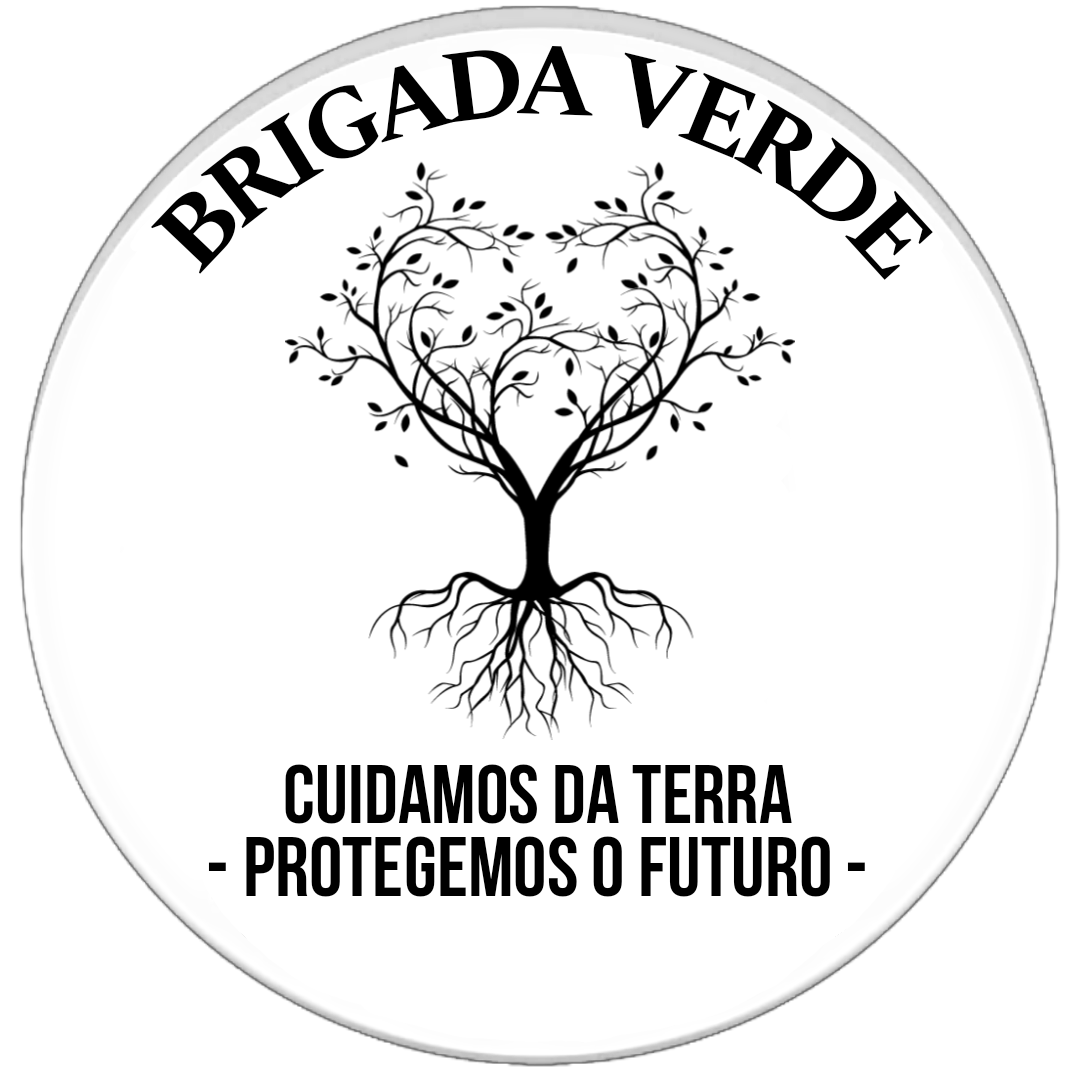 Brigada Verde - Vila Nova de Gaia - Limpeza de Persianas