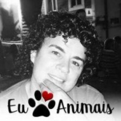 Ana Silva - Vila Franca de Xira - Hundeausführung