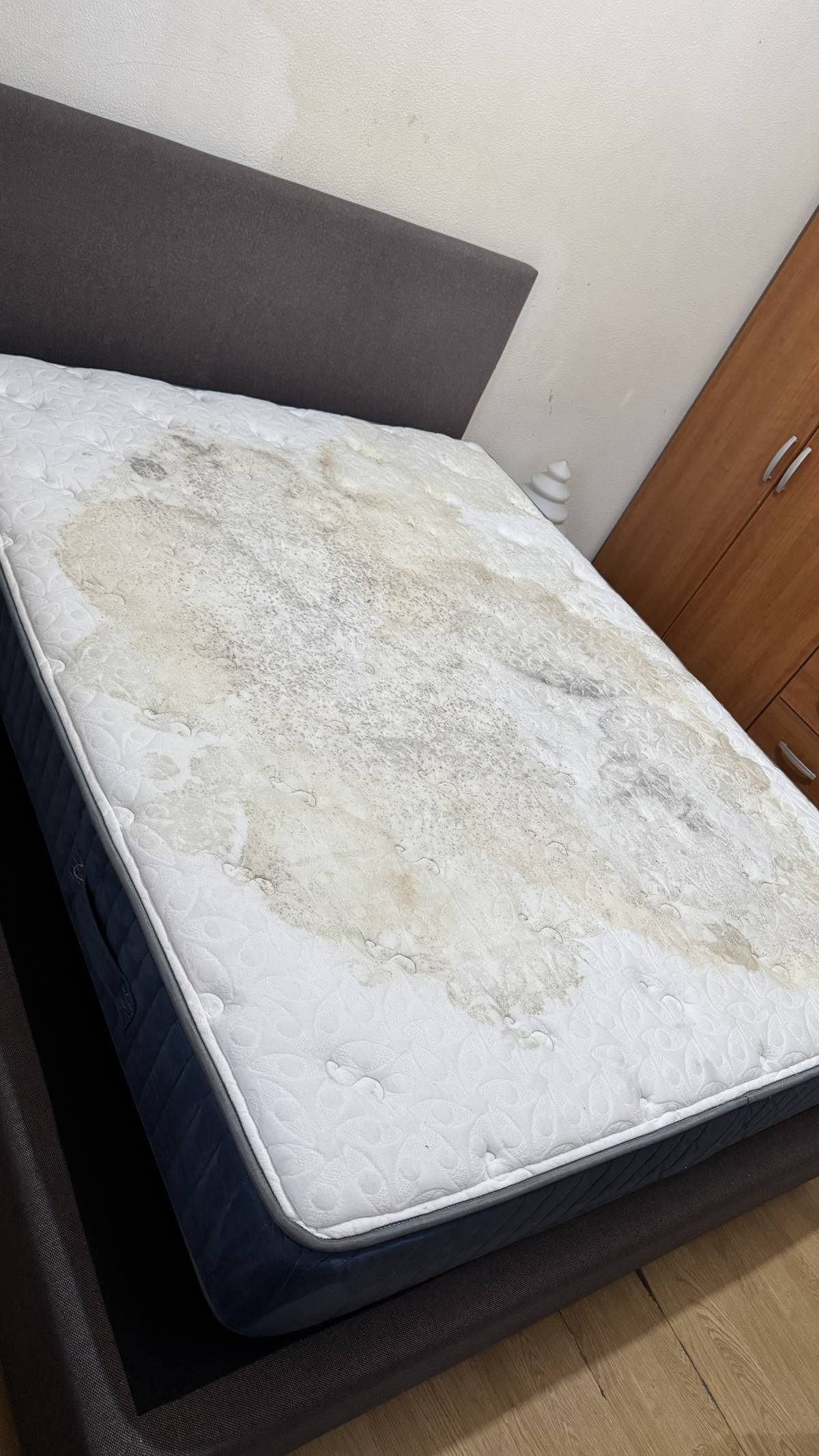Sofá clean - Vila Nova de Gaia - Reinigung von Jalousien