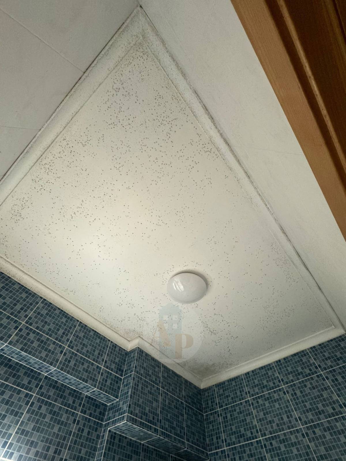 Aurichio Pinturas - Vila Franca de Xira - Pintar edificios