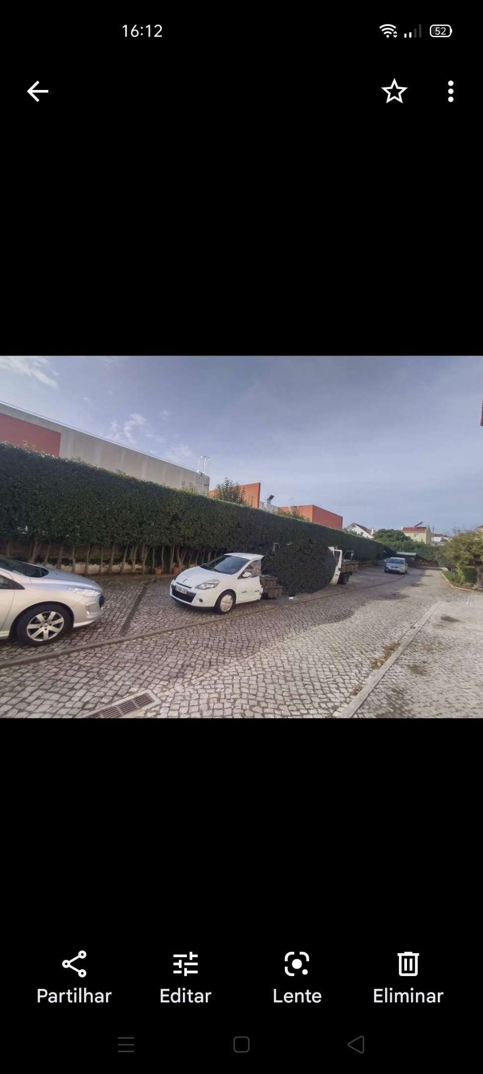 Ricardo - Cascais - Multi Service Lawn Care