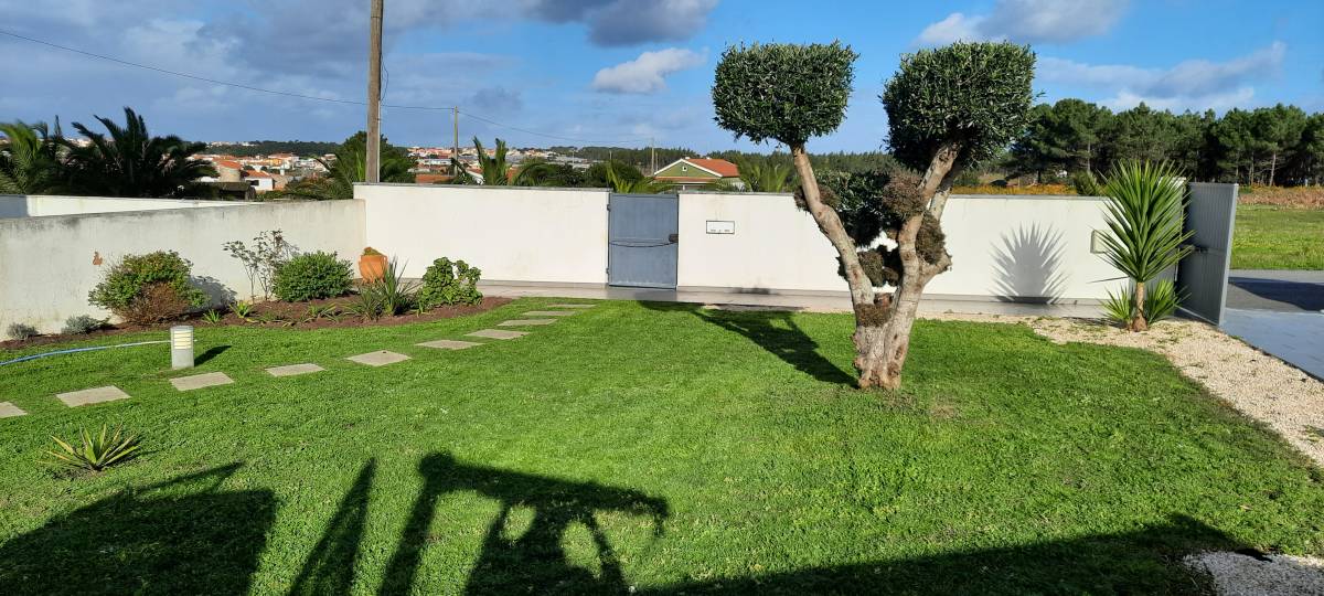 Jardins Luís Francisco - Torres Vedras - Tree Trimming and Maintenance