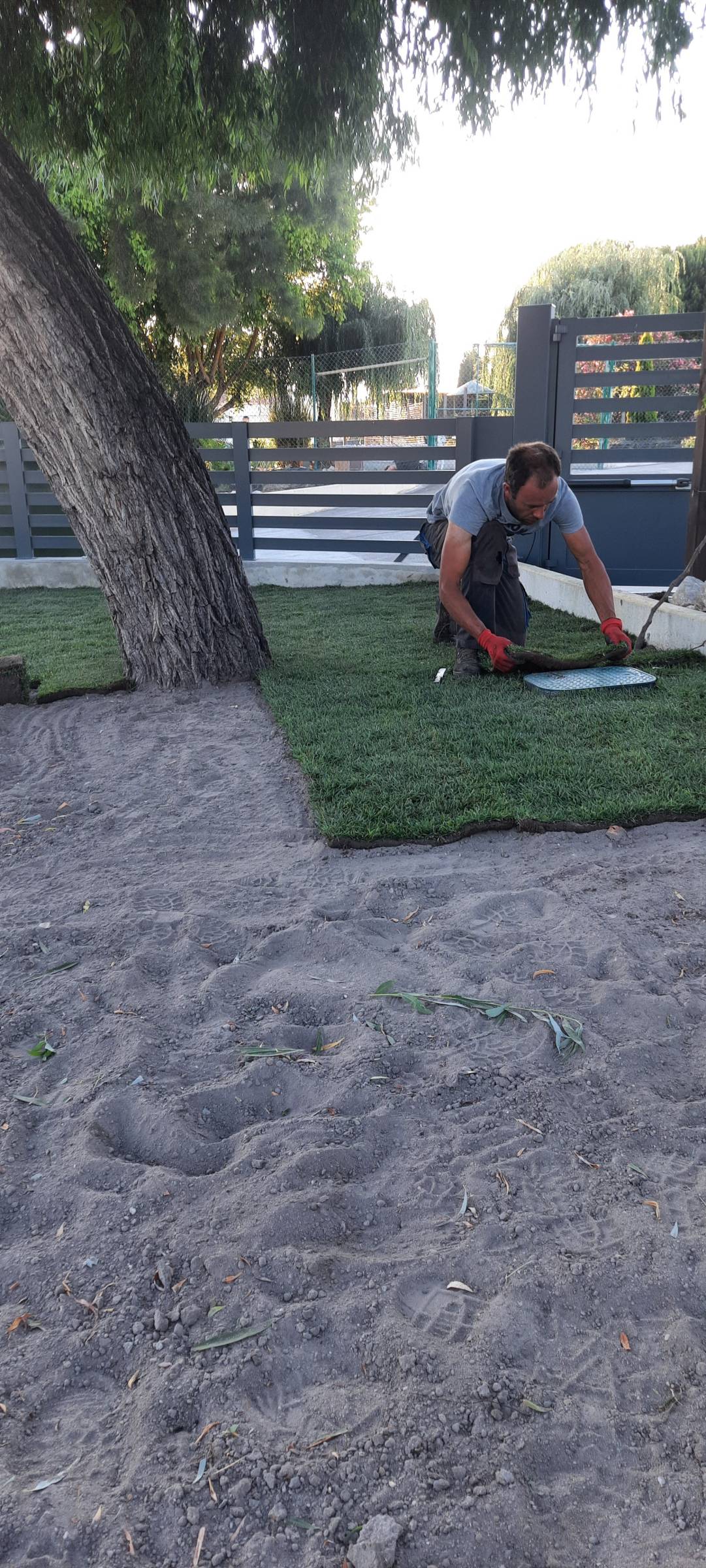 Jardins Luís Francisco - Torres Vedras - Tree Planting