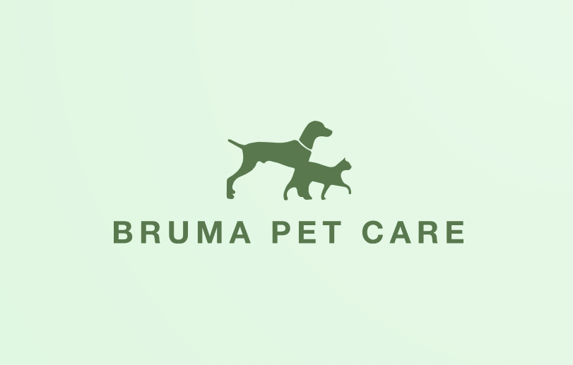 BPC | Treino canino, pet sitting e dog walker - Barcelos - Garderie pour chiens