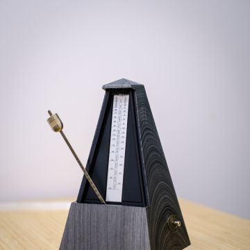 Horseback Riding Lessons - Ricardo Paiva - 