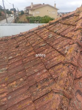 Silvério Monteiro - Estarreja - Drywall Repair and Texturing
