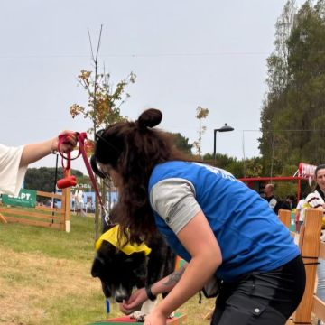 BPC | Treino canino, pet sitting e dog walker - Barcelos - Garde de chat