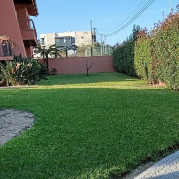 Rui Pereira - Maia - Tree Trimming and Maintenance