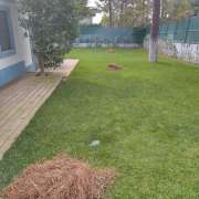 Ricardo - Cascais - Shrub Removal