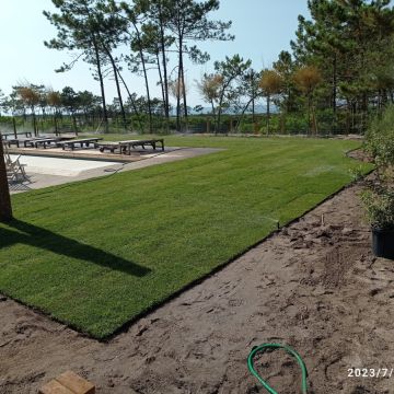 RF remodelação e construção de casas e jardins - Torres Vedras - Remoção de Tronco de Árvore