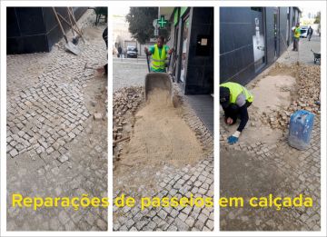 Area Floral (grupo Area Cosmopolita,lda) - Oeiras - Baumpflege