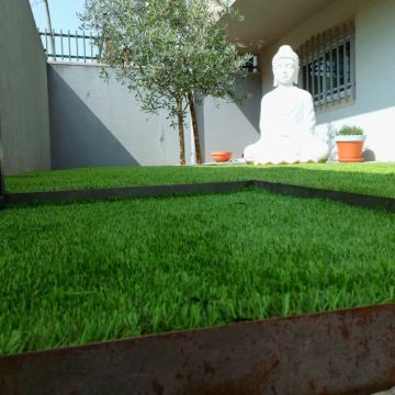 Brigada Verde - Vila Nova de Gaia - Poda e Manutenção de Árvores