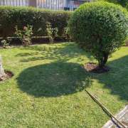 Ricardo - Cascais - Tree Trimming and Maintenance