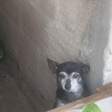 Diretonasuamao - Guimarães - Entregas y mensajeros