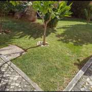 Ricardo - Cascais - Tree Stump Grinding and Removal