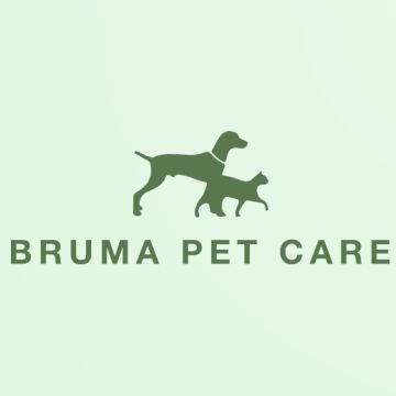 BPC | Treino canino, pet sitting e dog walker - Barcelos - Garderie pour chiens
