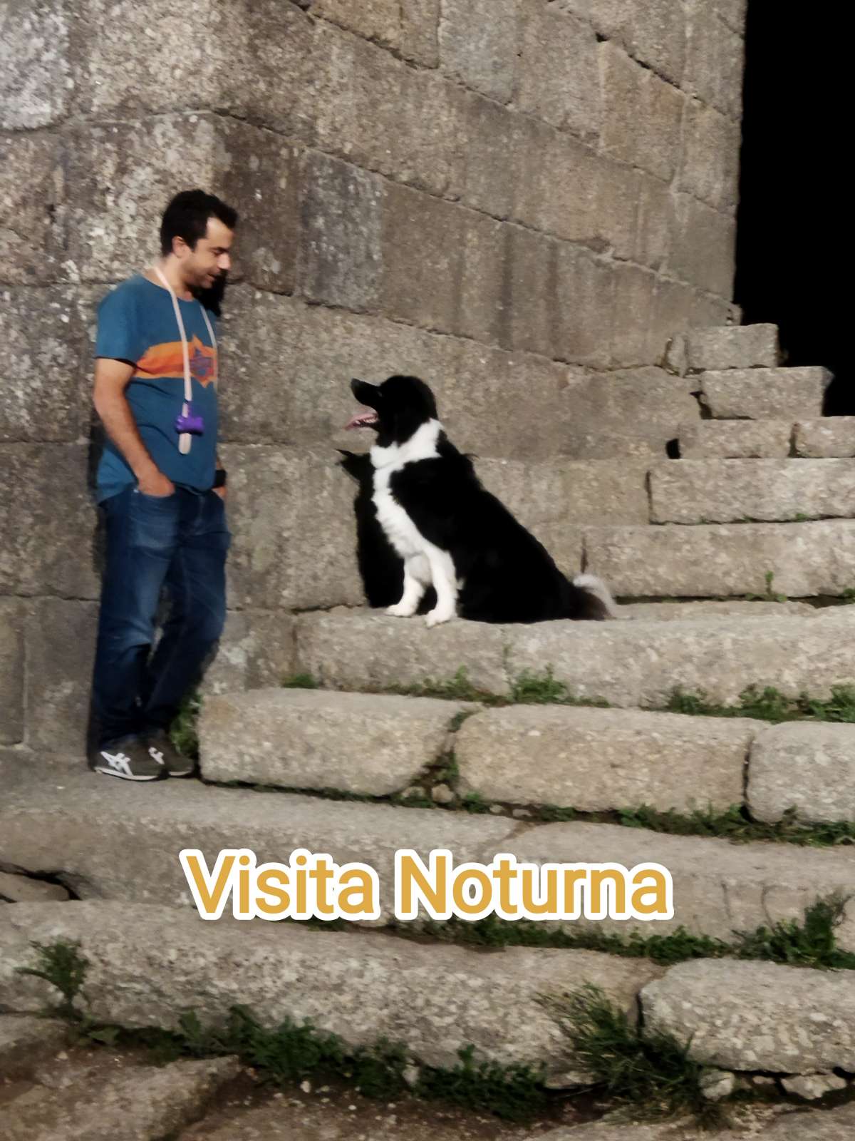 Catarina Dias - Guimarães - Dog Walking