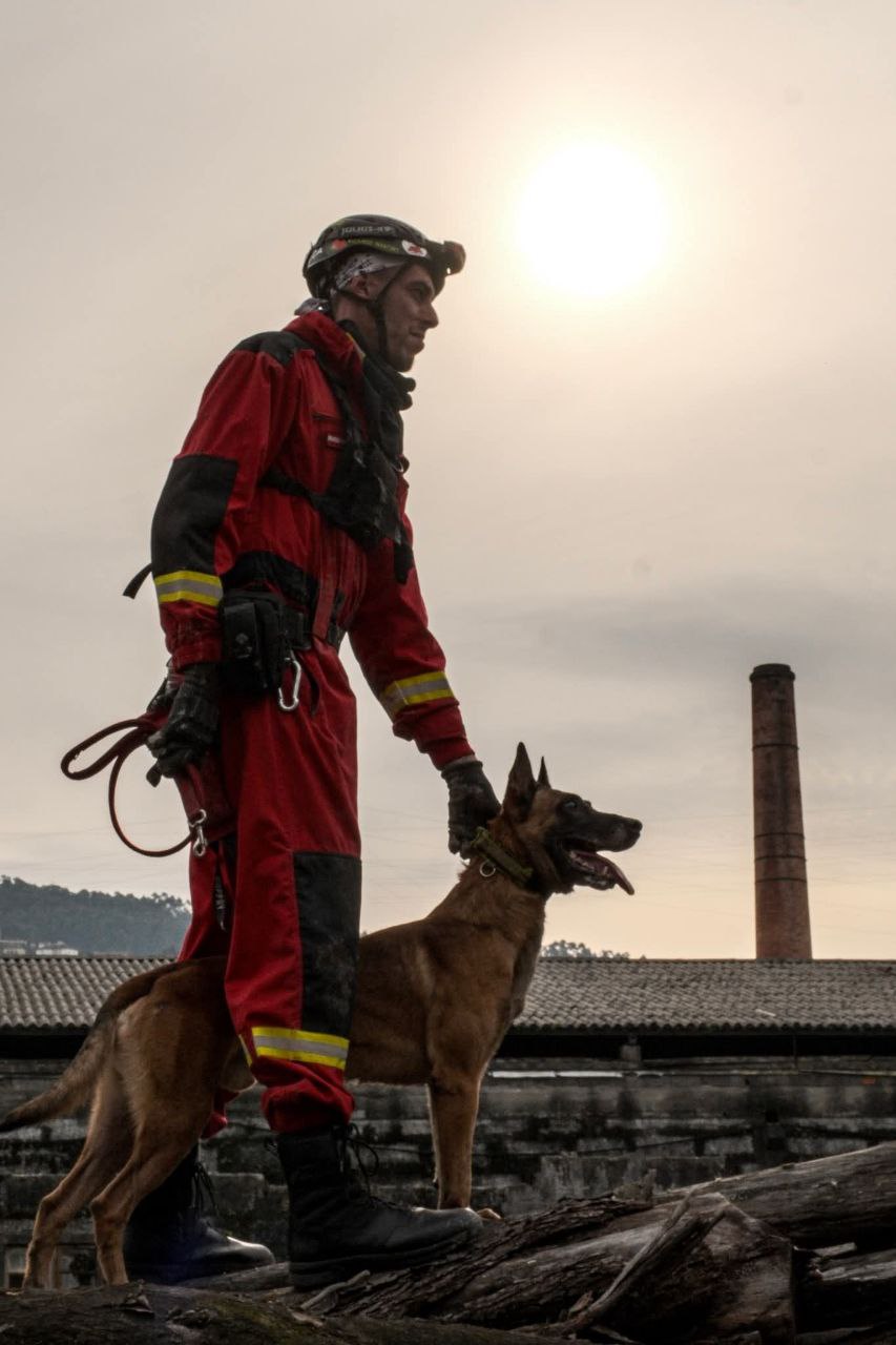 Matilha Alto dos Encantos - Santo Tirso - Animal Behavior Modification