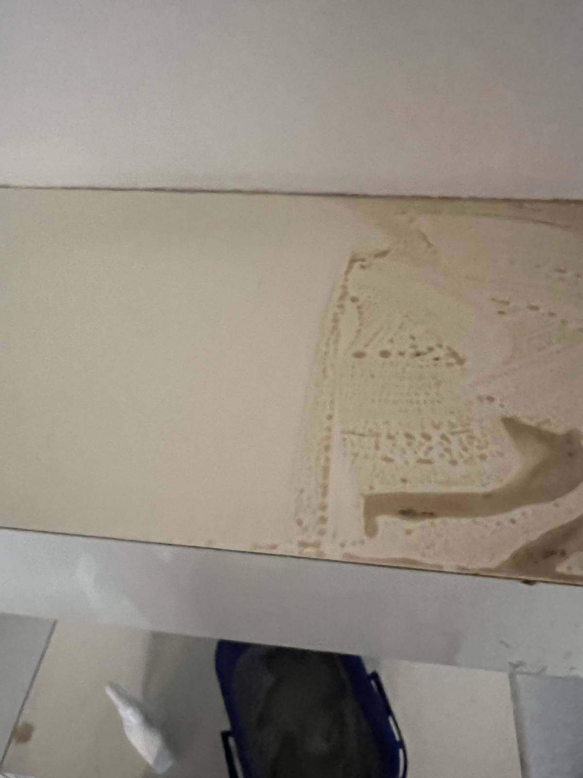 Pronto e Limpo - Valongo - Mold Inspection and Removal