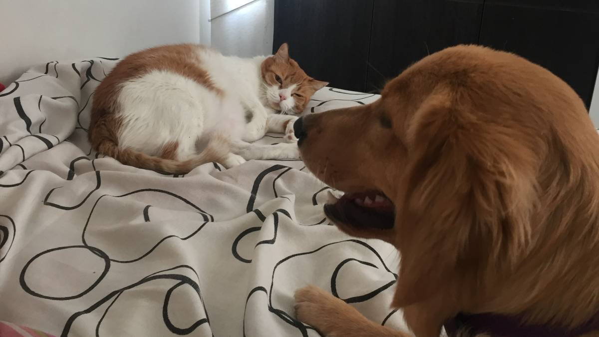 Alejandra - Braga - Fotografia de Eventos