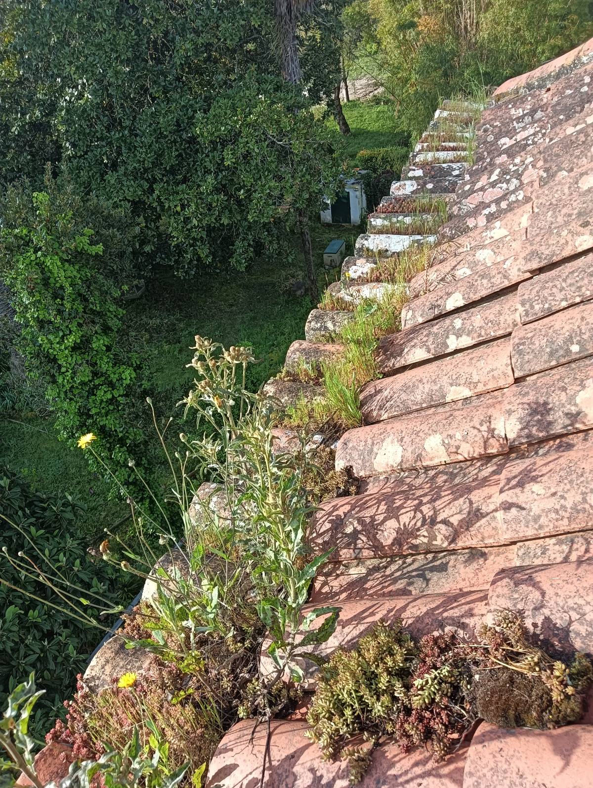 Celcino - Sintra - Dachdecken