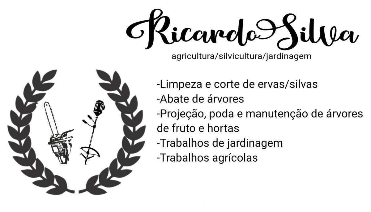 Ricardo Silva - Almada - Tratamento de Relvado