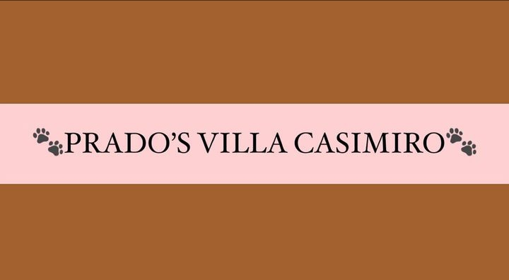 Prado's Villa Casimiro - Vila Real - Hotel para Gatos