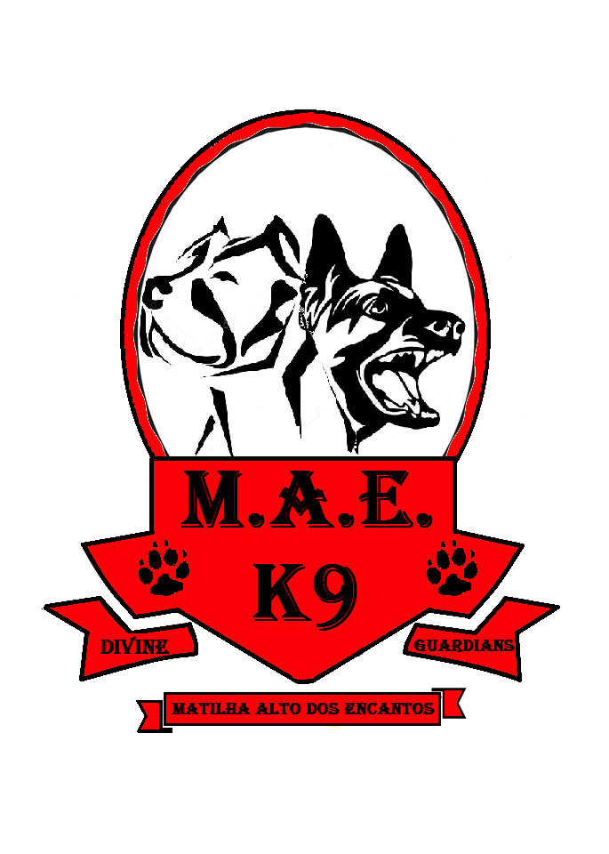 Matilha Alto dos Encantos - Santo Tirso - Pet Sitting and Walking