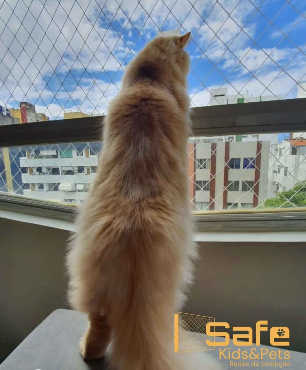 Safekids&pets - Cascais - Hausreinigung (regelmäßig)