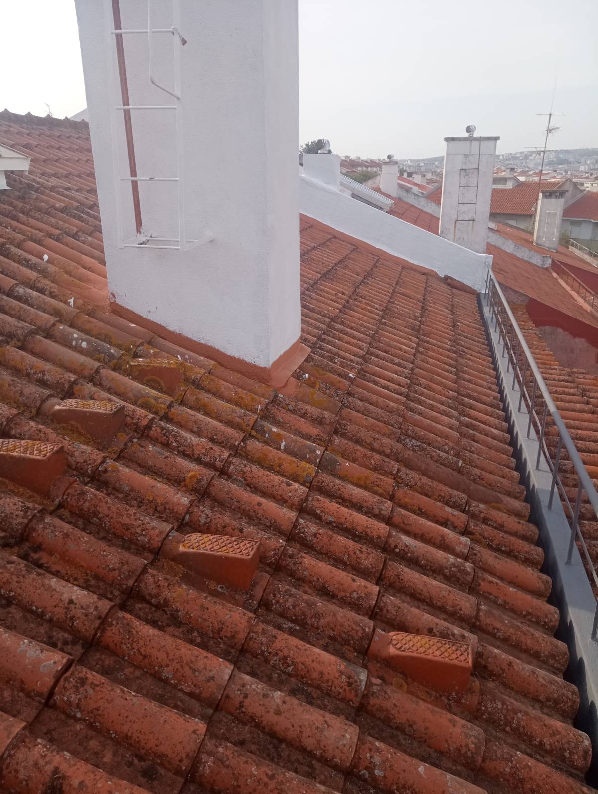 André Souza - Lisboa - Instalação de Alcatifa