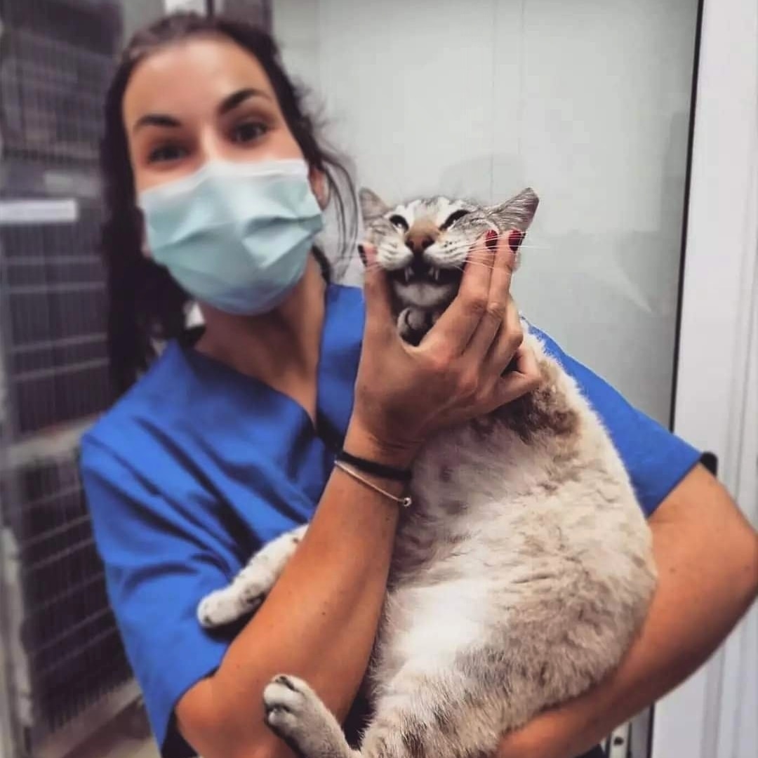 Vet em Casa - Figueira da Foz - Veterinary
