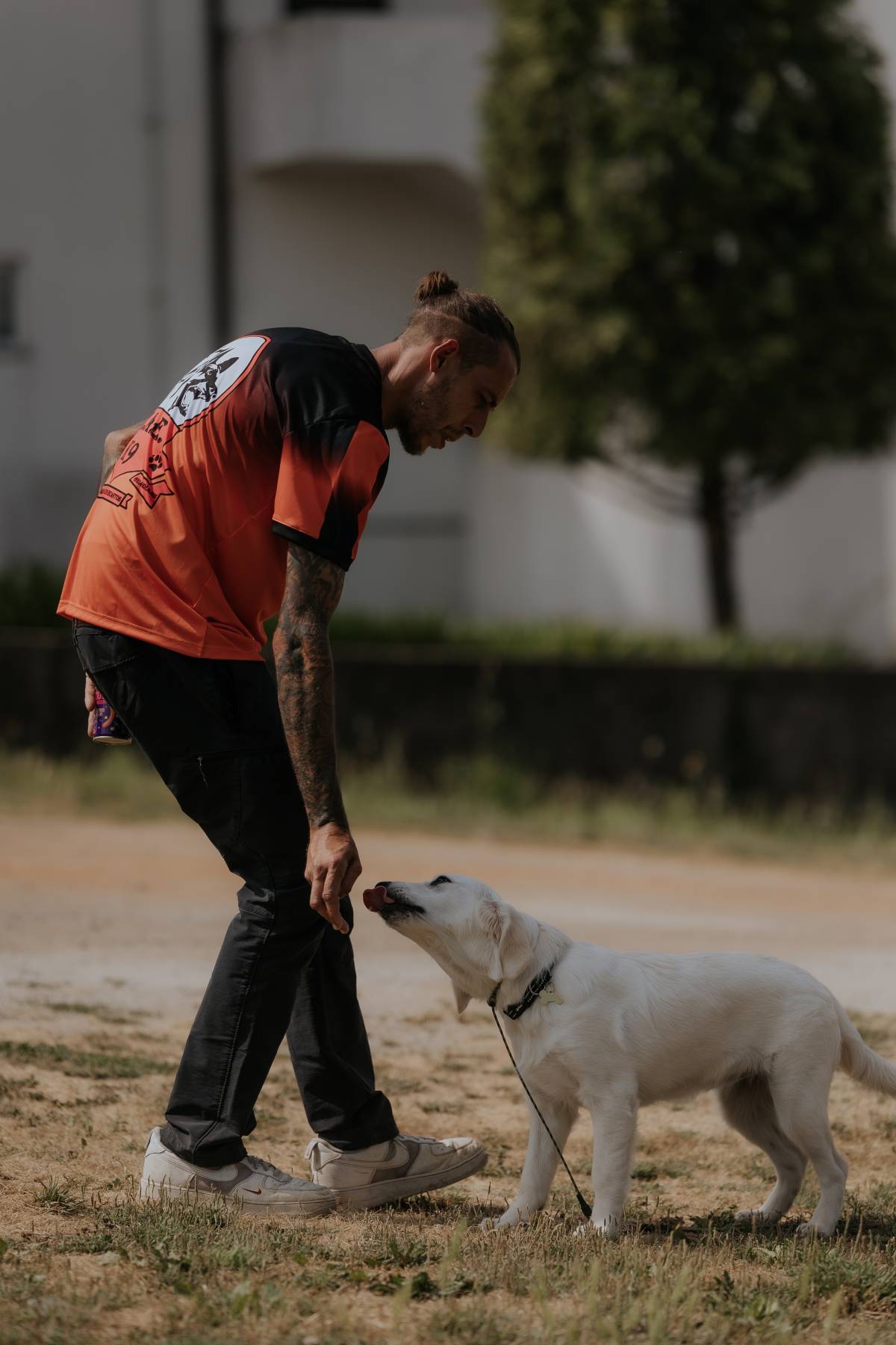Matilha Alto dos Encantos - Santo Tirso - Dog Walking