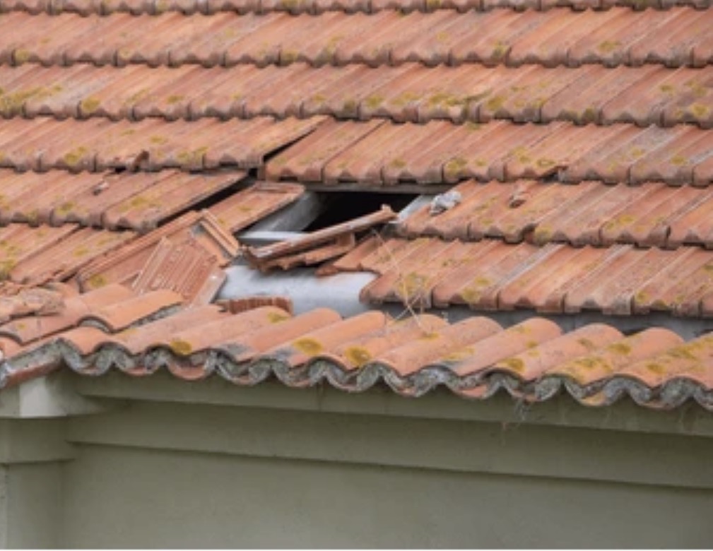 Roof shield - Lisboa - Limpeza de Telhado