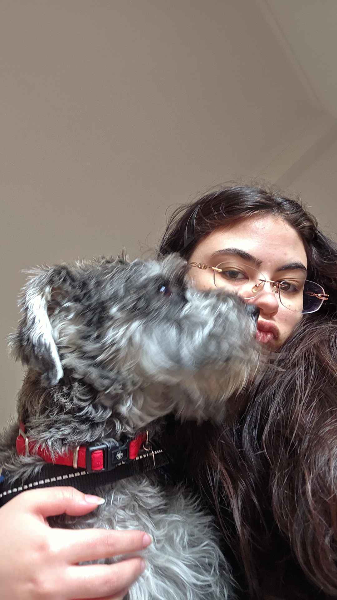Isabella Moreno - Vila Franca de Xira - Garde d'animaux
