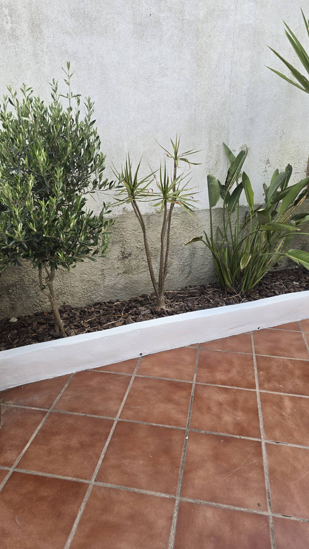 DOMUS MULTISERVIÇOS - Lisboa - Limpieza de persianas