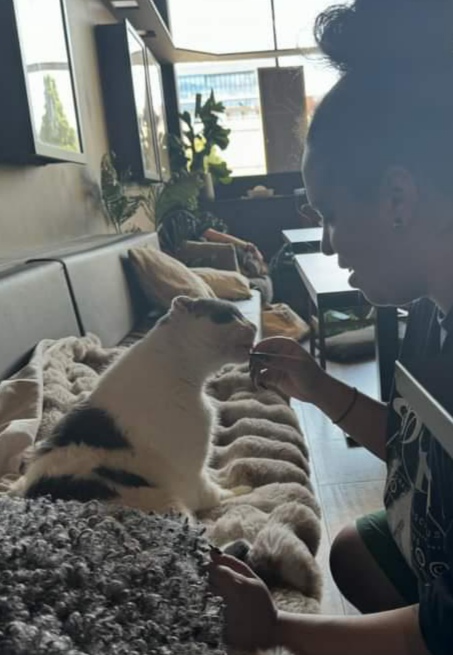 Jaspe - Alcochete - Pet Sitting
