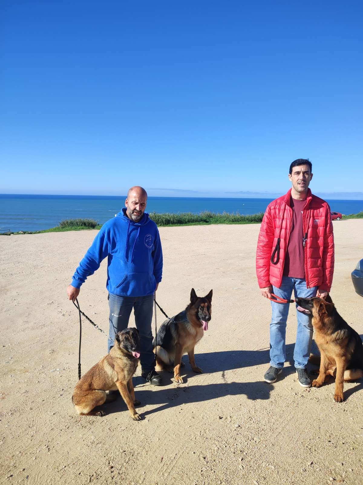 Walk Happy Dog - Mafra - Treino de Cães - Aulas