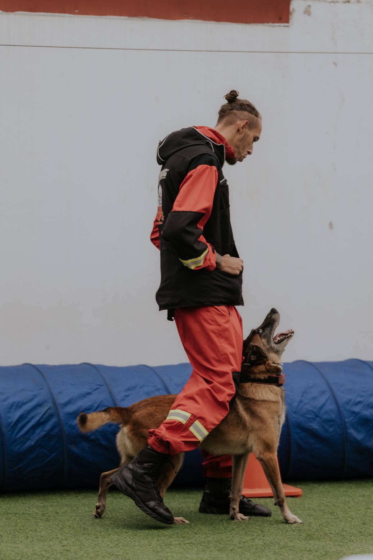 Matilha Alto dos Encantos - Santo Tirso - Dog Training - Private Lessons