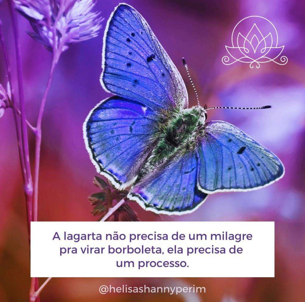 Helisa Shanny Perim - Lisboa - Psychotherapy