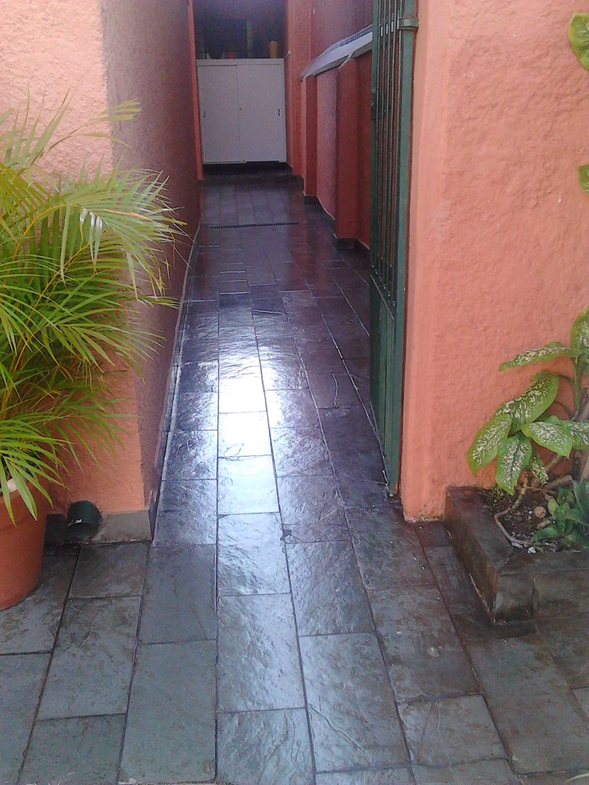 Nilson - Monção - Shrub Removal